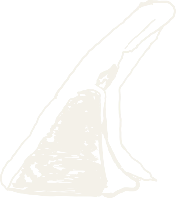 la lombata, disegno a china